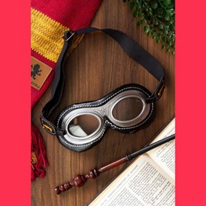 HalloweenCostumes.com One Size Fits Most   Harry Potter Quidditch Costume Goggles for Adults and Kids, Black/Gray - 1 of 3