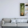 Trademark Fine Art -Pablo Esteban 'White Orchid In Pot On Green' Canvas Art - 3 of 3