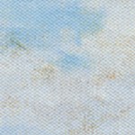 coastal white