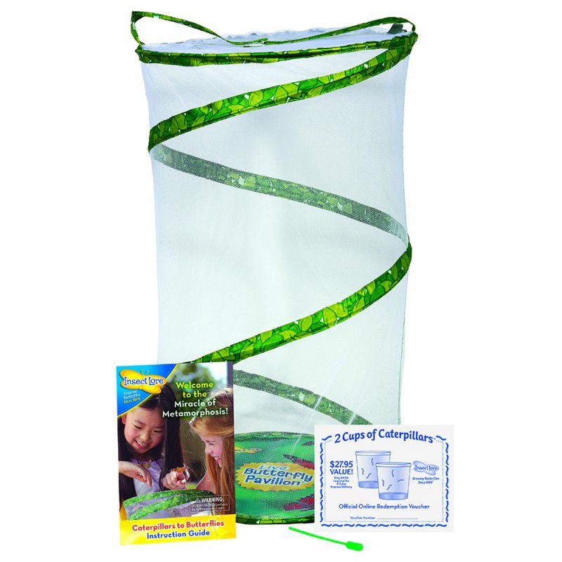 Insect Lore Butterfly Pavilion� Growing Kit, 3 of 4