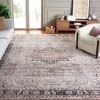 Antique Patina ANP642 Power Loomed Indoor Rugs - Safavieh - 2 of 4