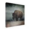 Trademark Fine Art -Jai Johnson 'Stormy Day Buffalo' Canvas Art - 4 of 4