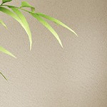 retro color plate + black tube