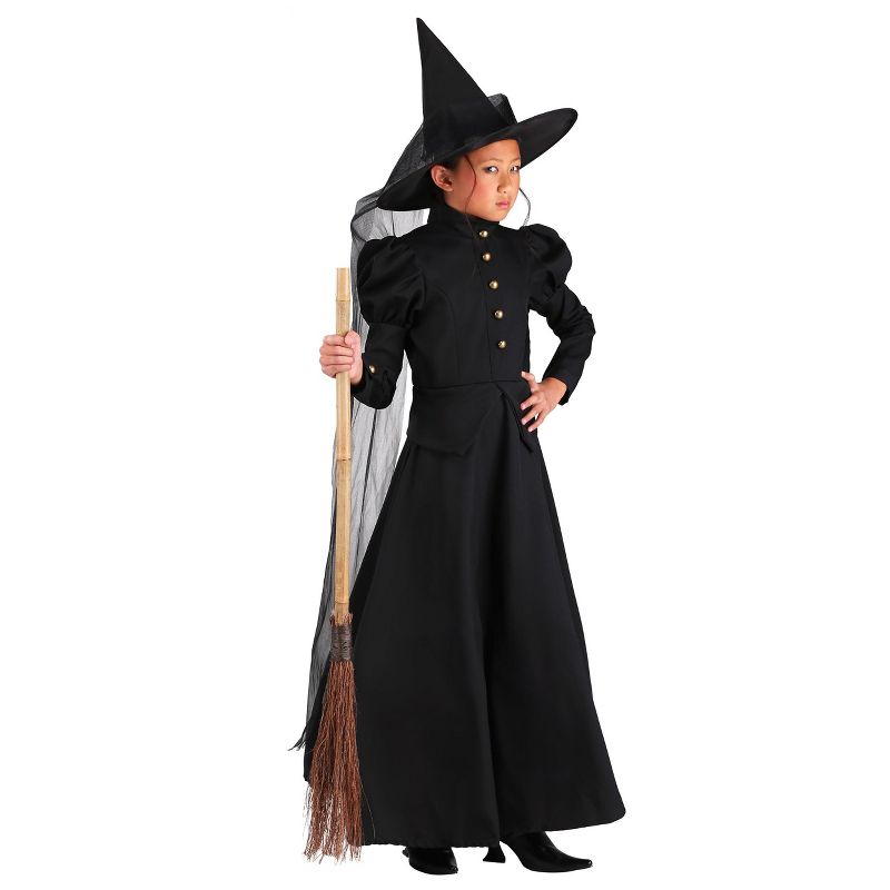 HalloweenCostumes.com Deluxe Girls Witch Costume, 1 of 5