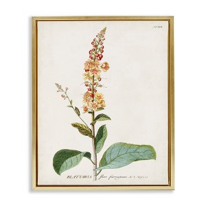 Stupell Industries Scientific Botanical Plant Floating Frame Canvas Art - 1 of 4