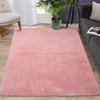 Modern Fluffy Area Rugs for Bedroom Living Room, Plush Soft Thick Fuzzy Shaggy Carpet for Kids Nursery Dorm - 4 of 4