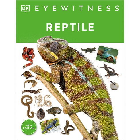 Eyewitness Reptile - (dk Eyewitness) By Dk (hardcover) : Target