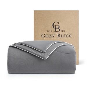 Cozy Bliss Dual-Sided Cooling Comforter Ultra-Soft, Breathable Cooling Blanket for Night Sweats, Lightweight & Silky Smooth - 1 of 4