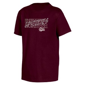 NCAA Montana Grizzlies Boys' Short Sleeve T-Shirt - 1 of 3