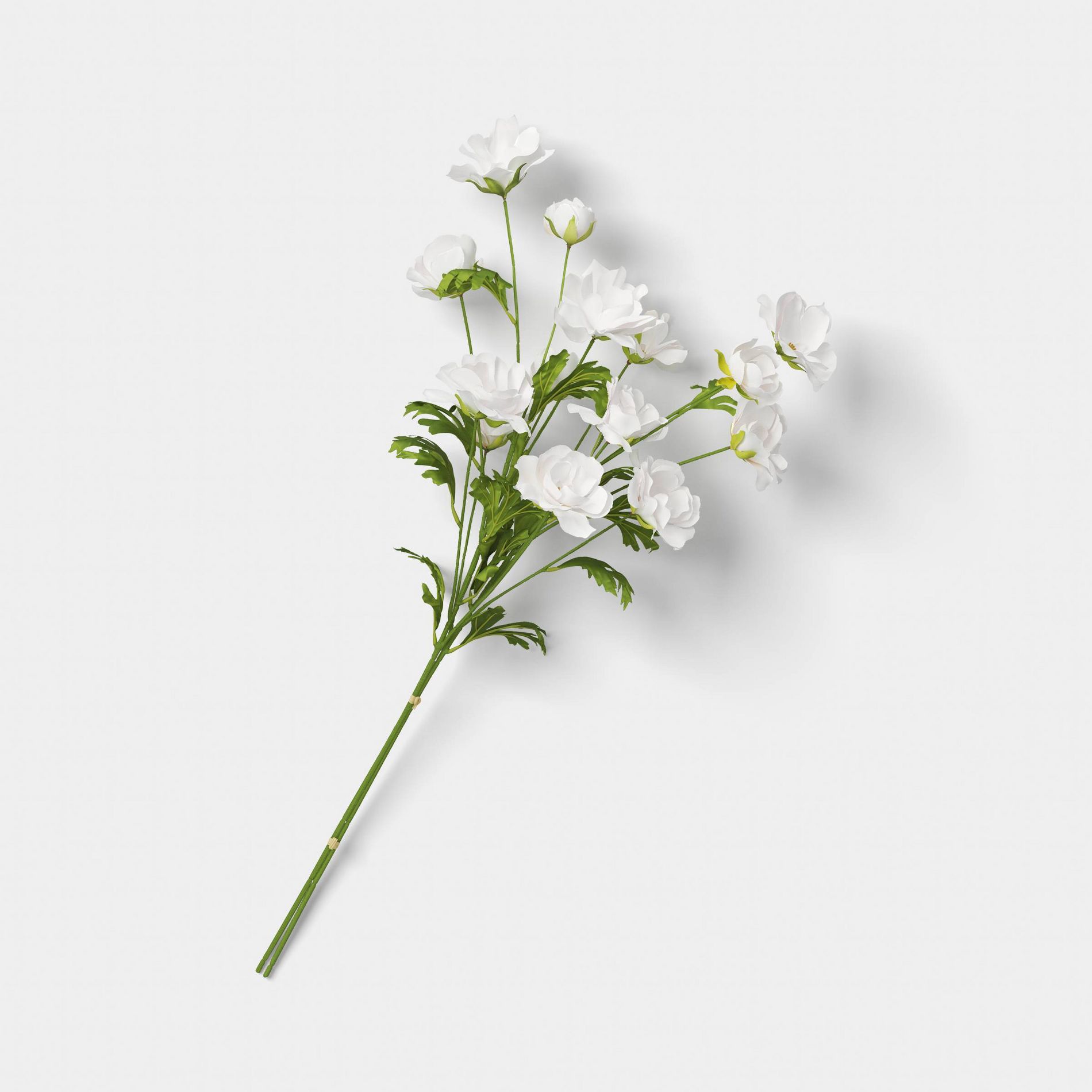 Ranunculus Stem - Threshold™