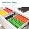 Filomena 2 Drawer Metal Label Frame Filing Cabinet with Secure Locking Mechanism|ARTFUL LIVING DESIGN-Black - 4 of 4