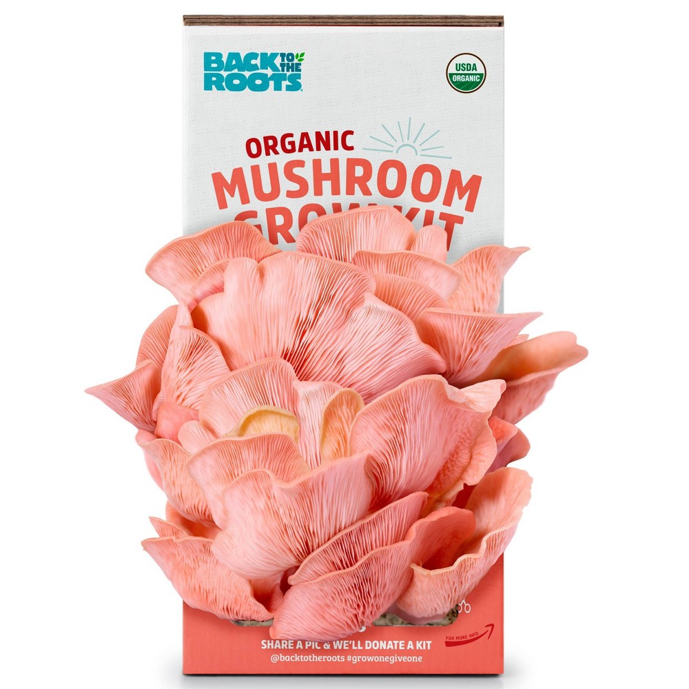 Photos - Garden & Outdoor Decoration Back to the Roots Organic Mushroom Grow Kit Pink Oyster