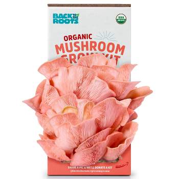 Back to the Roots Organic Mushroom Grow Kit Pink Oyster