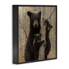 Stupell Industries Forest Black Bear and Cubs, 24" x 24" - 3 of 4