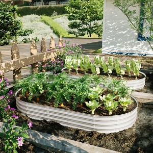 Chic Crate 4x2x1ft Galvanized Raised Garden Bed for Vegetables & Herbs, Rust-Resistant Outdoor Planter Box - 1 of 4