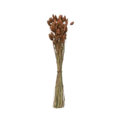 19.5" x 5" Dried Natural Canary Grass Bunch - 3R Studios