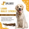 Dog Chits Lamb Bully Sticks for Dogs and Puppies | Natural Healthy Long Lasting Chew | Protein Treats - 2 of 4
