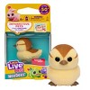 NeeDees By Little Live Pets, Electric Miniature Pet Toy, Dandee Duck, Perfect For Ages 5 & Up, Contains Batteries - 3 of 4