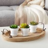 Juvale 12 Pack White Clay Mini Terracotta Pots with Saucers and Drainage Hole, Paintable Pottery for Succulents, Crafts, and Wedding Decor, 3 Inch - 3 of 4