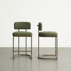 Spruce&Spring 26 inch Counter Height Bar Stool Set with Brass Frame - 1 of 1