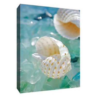 11" x 14" Crystal Shells I Decorative Wall Art - PTM Images