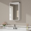 Elise Recessed or Surface-Mount Bathroom Medicine Cabinet with Mirror, Adjustable Tempered Glass Shelves & Reversible Door - 2 of 4