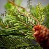 Sullivans Artificial Soft Touch Pine Christmas Accent Ring  Green  Indoor Christmas DÃƒÂ©cor - 2 of 3