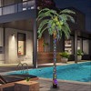 Outsunny 7' Artificial Lighted Palm Tree with 5 Coconuts, Color Changing Light Up Tropical Palm Tree with Remote for Outdoor, Pool, Green - 3 of 4