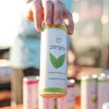 Zenjoy Honey Green Tea Relaxation Drink - Calming Drink with Ashwagandha, Lemon Balm & L-Theanine for Enhanced Focus - 12oz Cans - 2 of 4