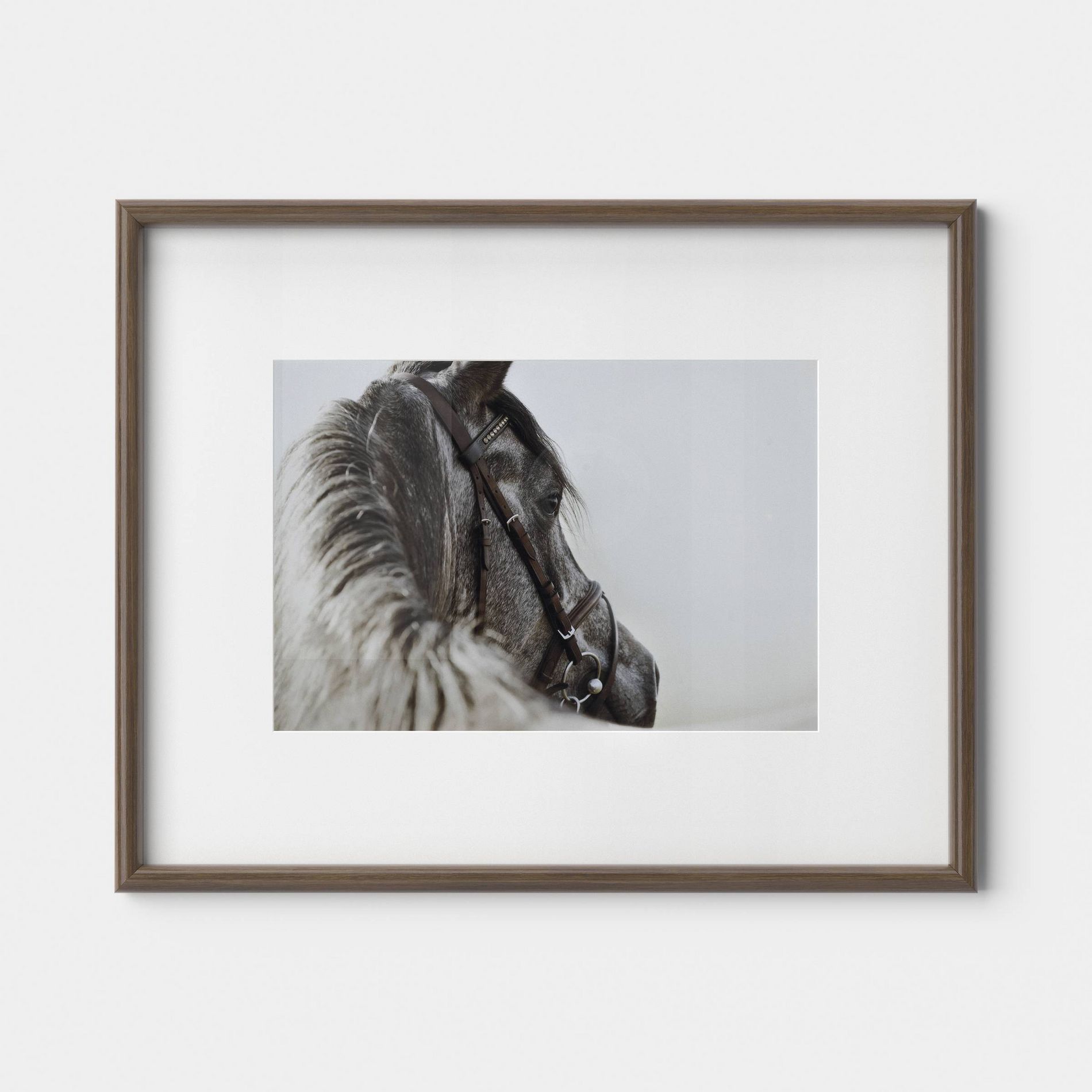 30"x24" Horse Photography Framed Wall Art - Threshold™