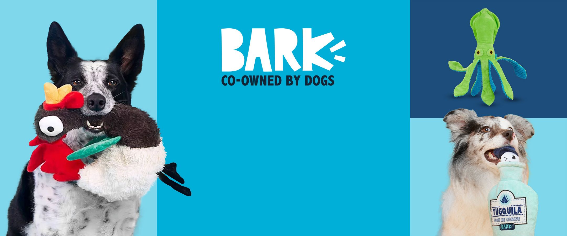 BARK
CO-OWNED BY DOGS