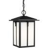 One Light Outdoor Pendant - 2 of 2