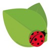 Eureka® Ladybug Paper Cut-Outs, 36 Per Pack, 3 Packs - 3 of 3