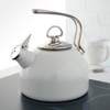 Enamel-on-Steel Classic Teakettle (1.8 Qt.) – Chantal