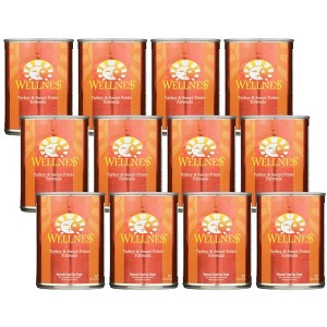 Wellness Turkey and Sweet Potato Formula Dog Food - Case of 12/12.5 oz - 1 of 4