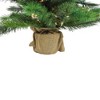 Northlight 3' Prelit Artificial Christmas Tree New Carolina Spruce - Clear Lights - 4 of 4