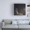 Trademark Fine Art Magdalena Russocka  the crypt Canvas Wall Art - 2 of 4