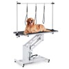 Hydraulic Lift Pet Grooming Table, 350 lbs Capacity, Professional Grooming Table with Adjustable Arm and Lasso - 2 of 4