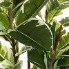 Tree City 6 Ft Artificial Rubber Tree – Realistic Faux Ficus Plant in Pot – Large Tropical Floor Tree - 2 of 3