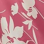 pink big flower