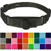 Country Brook Petz Heavyduty Nylon Martingale with Premium Buckle - 3 of 4