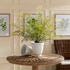 Plum & Post Maidenhair Drop-In 30" - 4 of 4