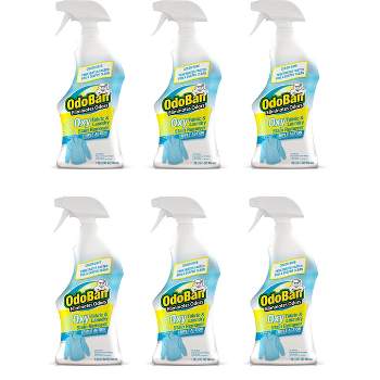 Spray 'N Wash Max Laundry Strain Remover 16 oz, Packaging may vary
