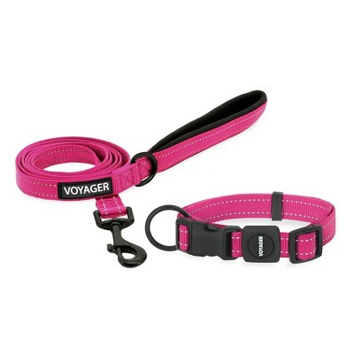 Voyager Adjustable Nylon Collar and Leash Combo for Dogs and Cats