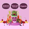 Amazing Grass Greens Blend Antioxidant Vegan Powder - Sweet Berry - 7.4oz - 4 of 4