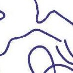 clear push pins bundle