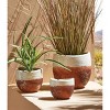 tagltd Ibiza Terracotta Planter Medium, 4.72L x 4.72W x 3.94H inches, Fits up to a 4 inch drop in pot - 3 of 4