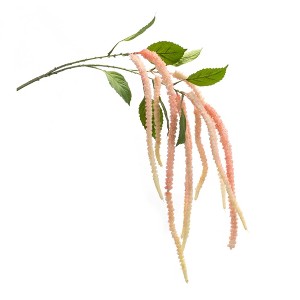 Set of 4 Amaranthus Stems – 53.25"H – Vibrant Home Arrangement – By Melrose - 1 of 3