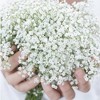 Attop 10pcs Simulation Babies Breath Fake Flower White Artificial Gypsophila Flowers Wedding Bridal DIY Bouquet Decor Arrangement - 2 of 4