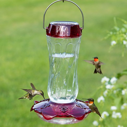 Droll Yankees Classic Hummingbird Feeder - Red (16 Oz) : Target